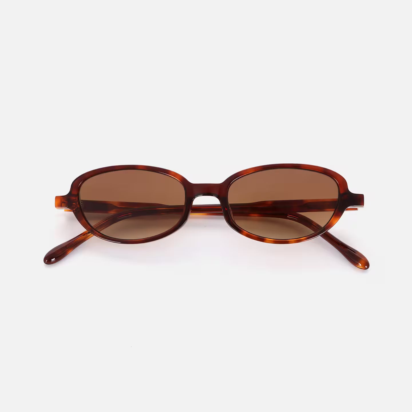 #color_chocolate tortoise