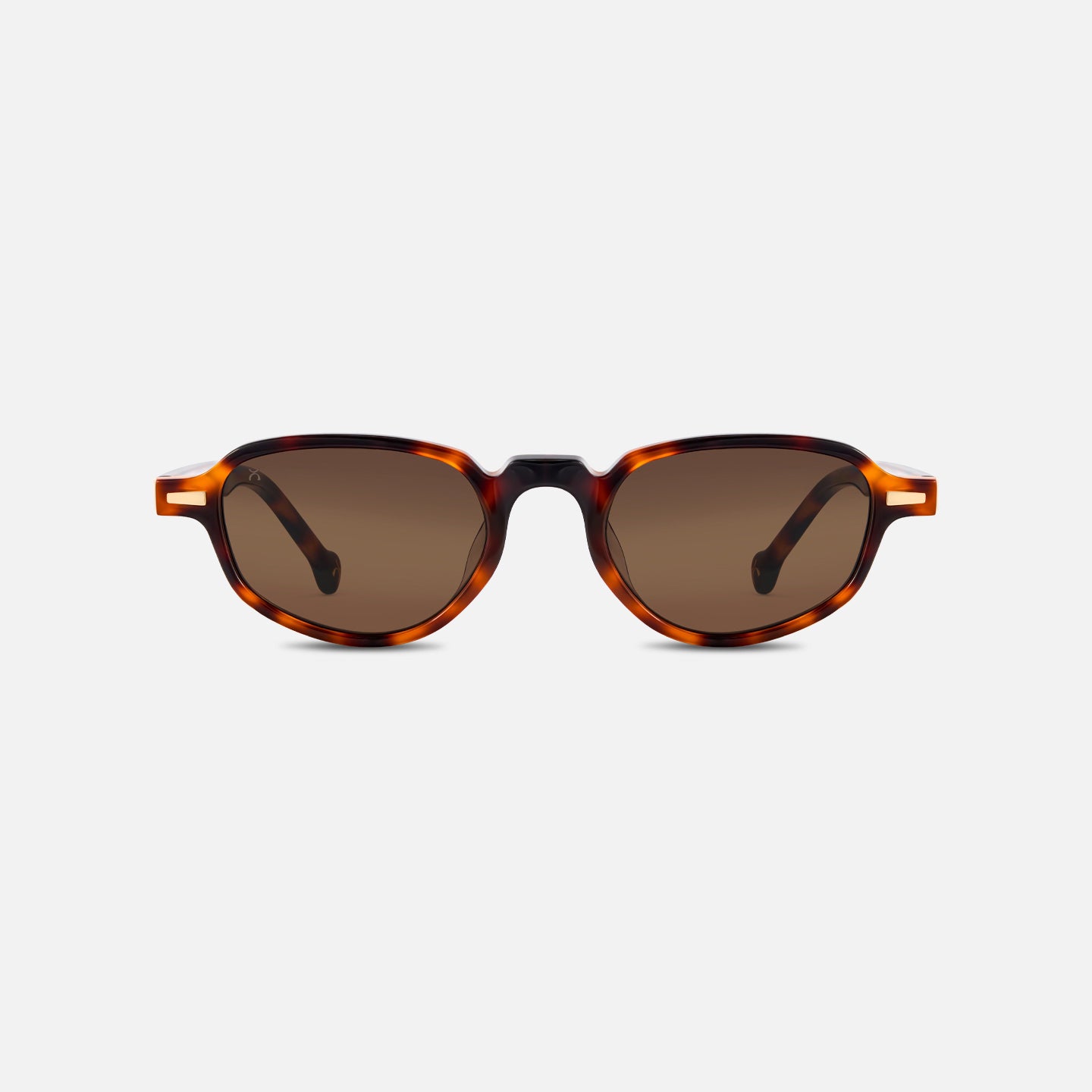 #color_coffee tortoise