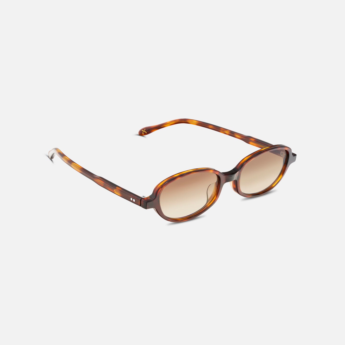 #color_chocolate tortoise