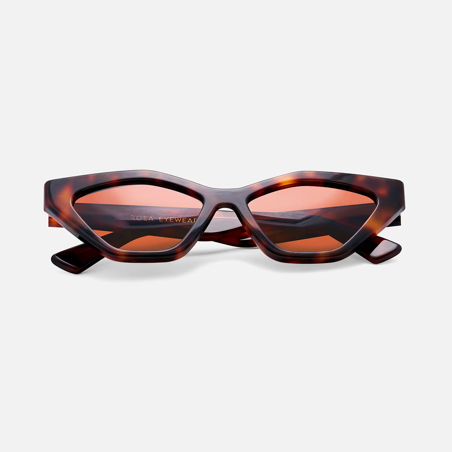 #color_ember tortoise