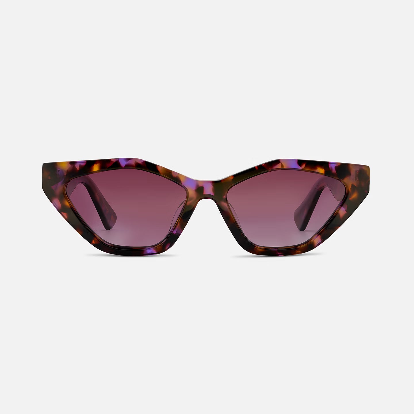 #color_violet tortoise