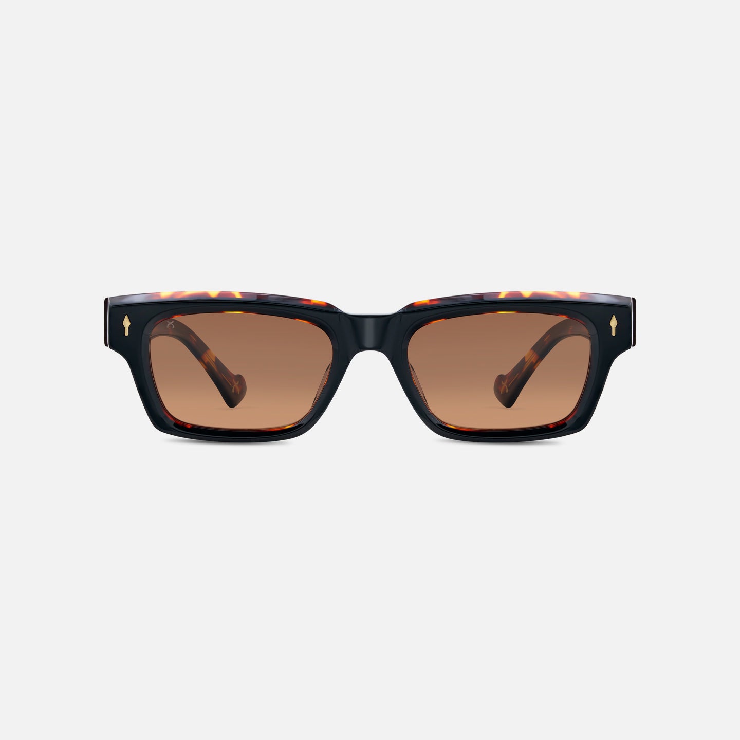 #color_tawny tortoise