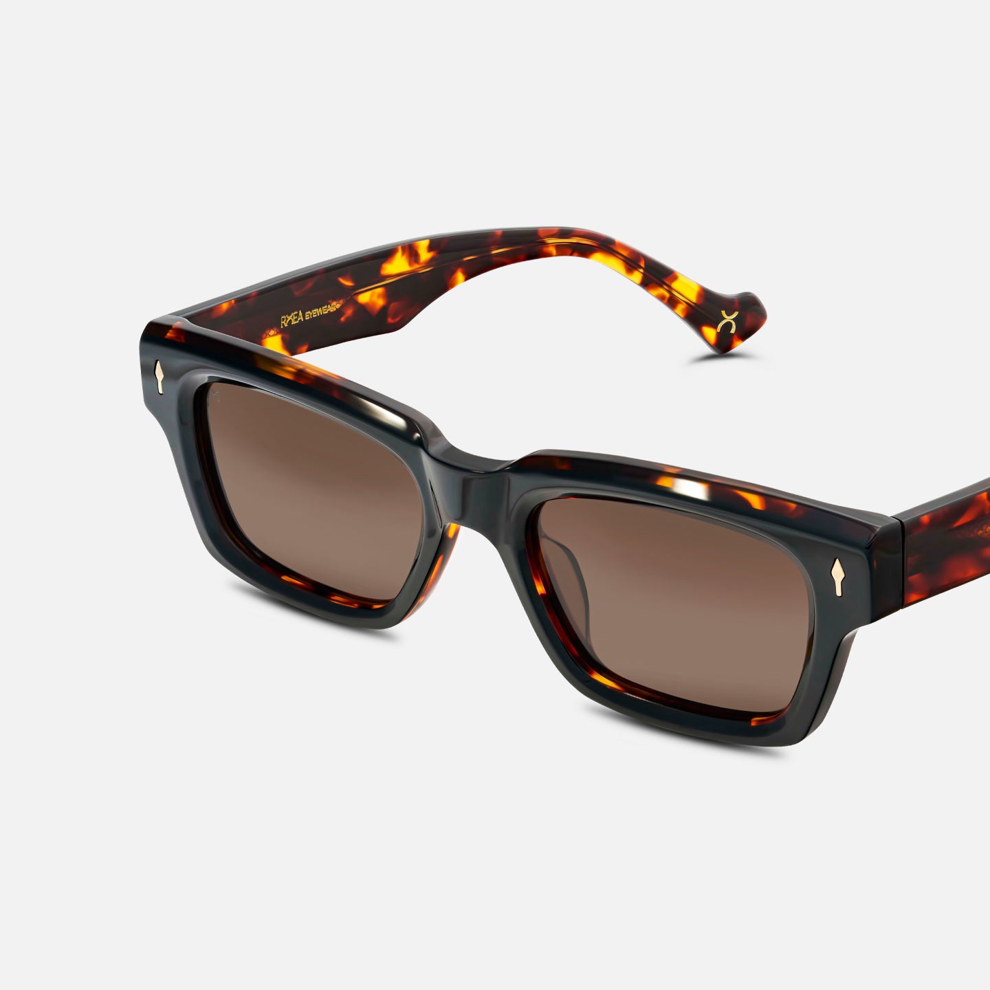 #color_tawny tortoise