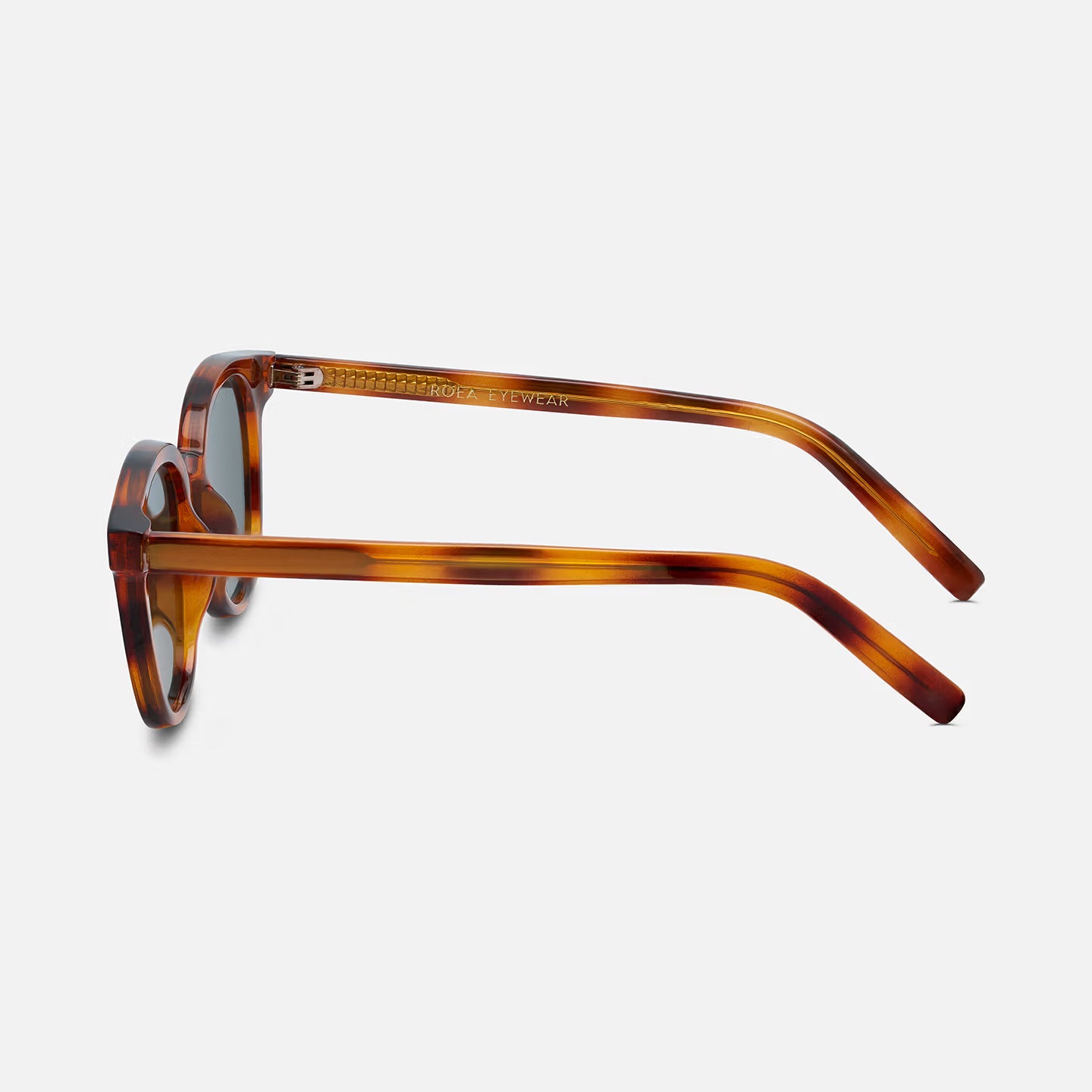 #color_champagne tortoise