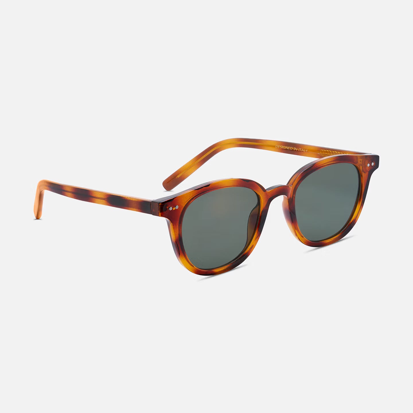 #color_champagne tortoise