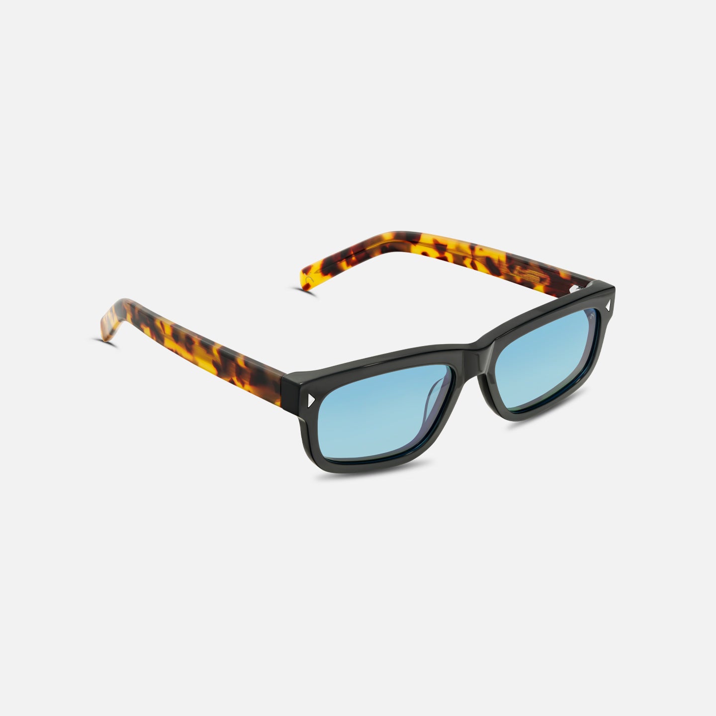 #color_baby blue tortoise