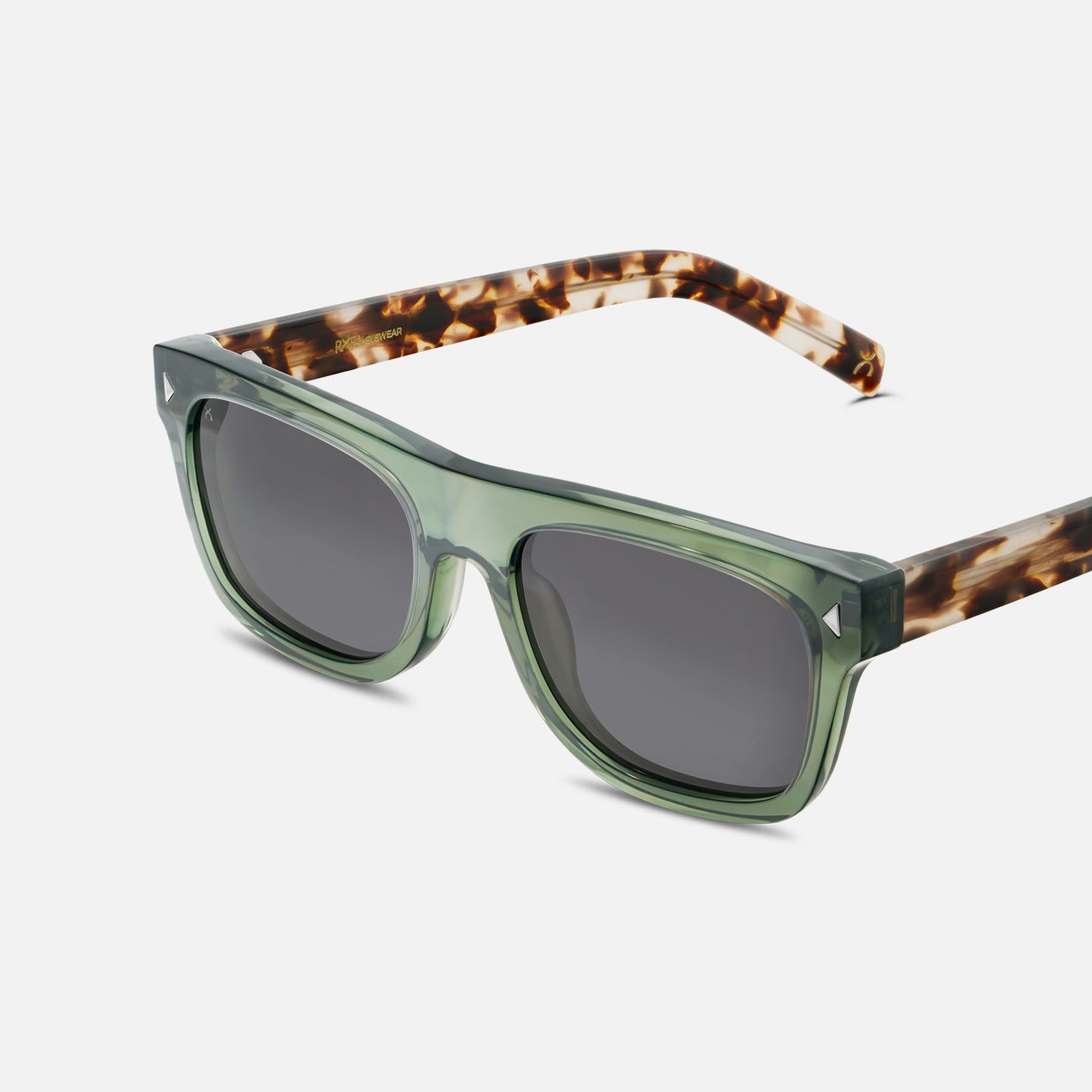 #color_sage tortoise