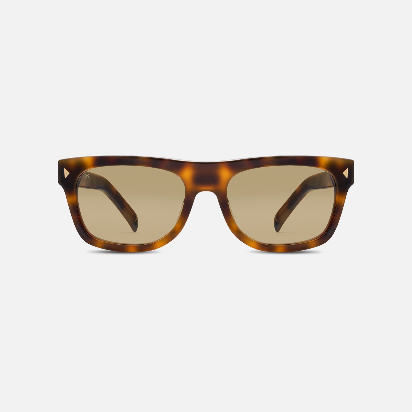 #color_tan tortoise