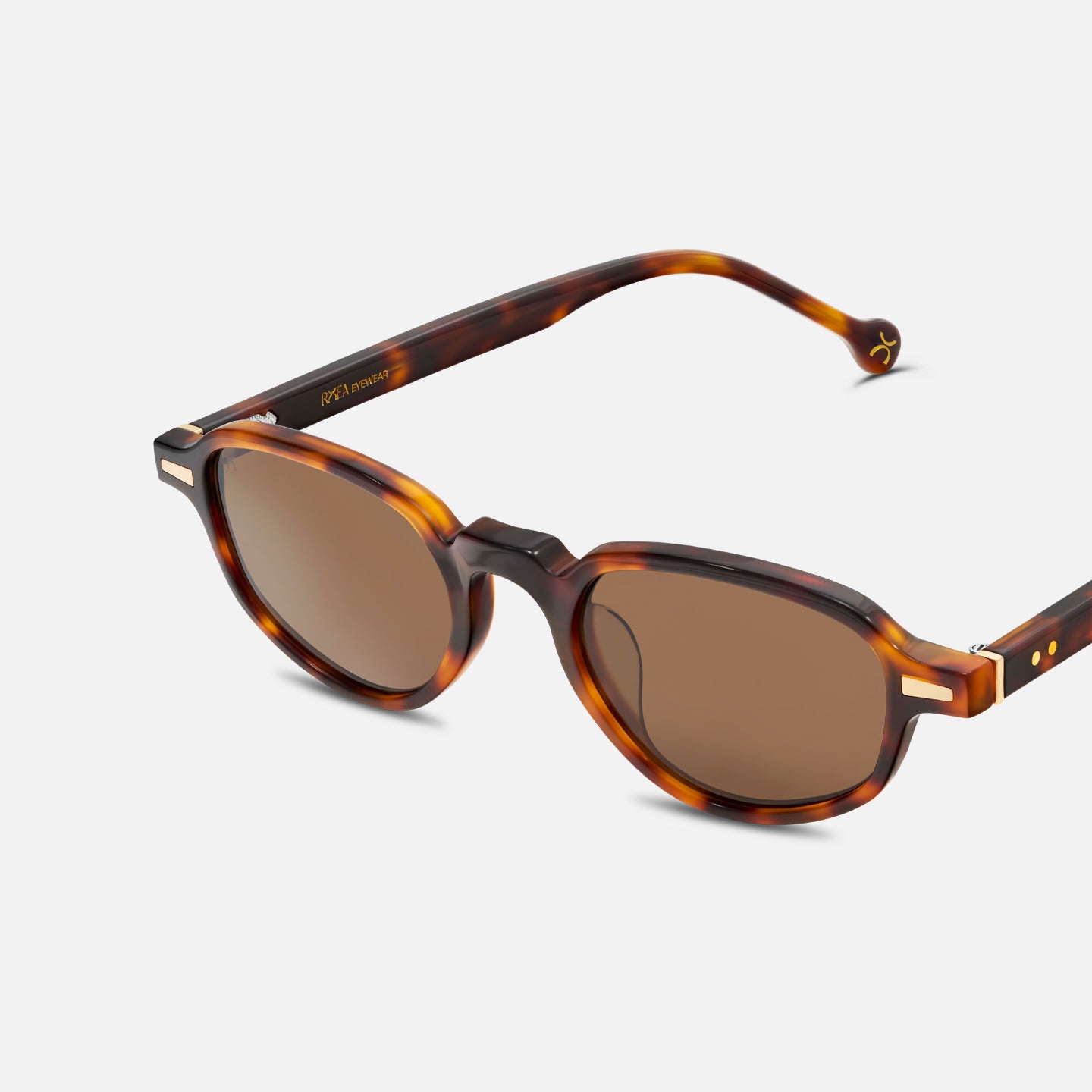 #color_coffee tortoise