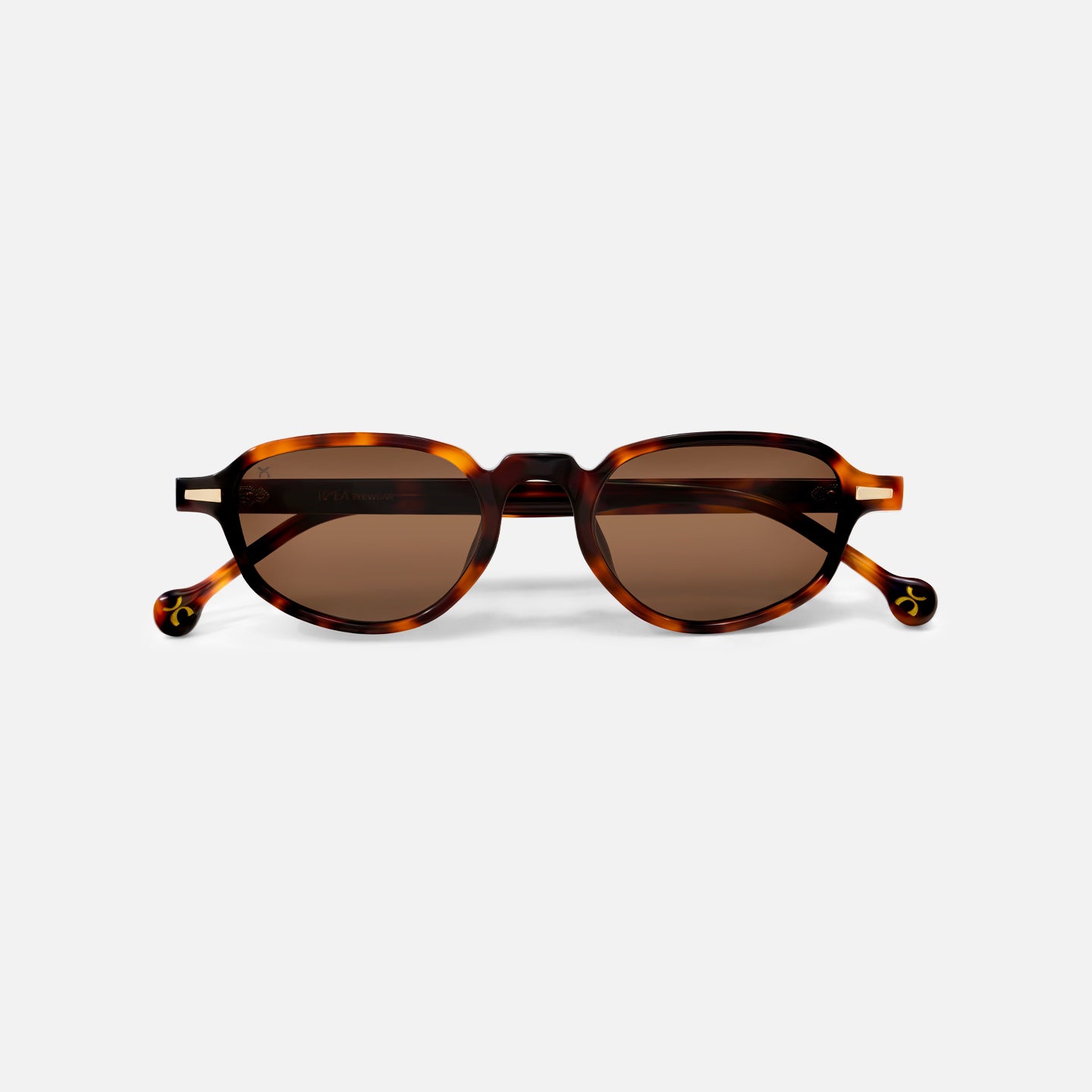 #color_coffee tortoise