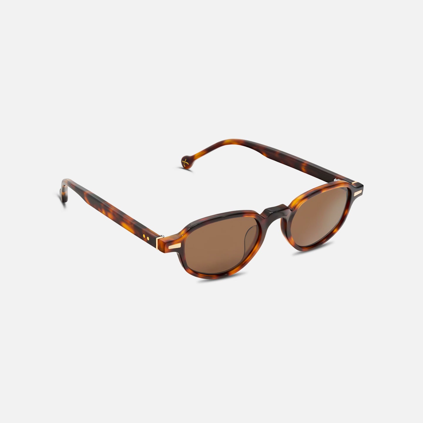 #color_coffee tortoise