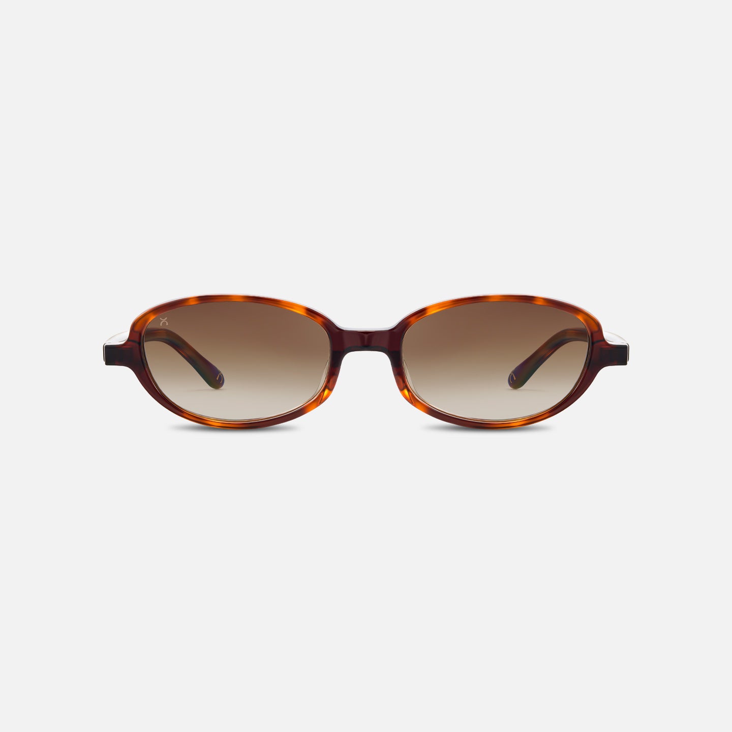 #color_chocolate tortoise