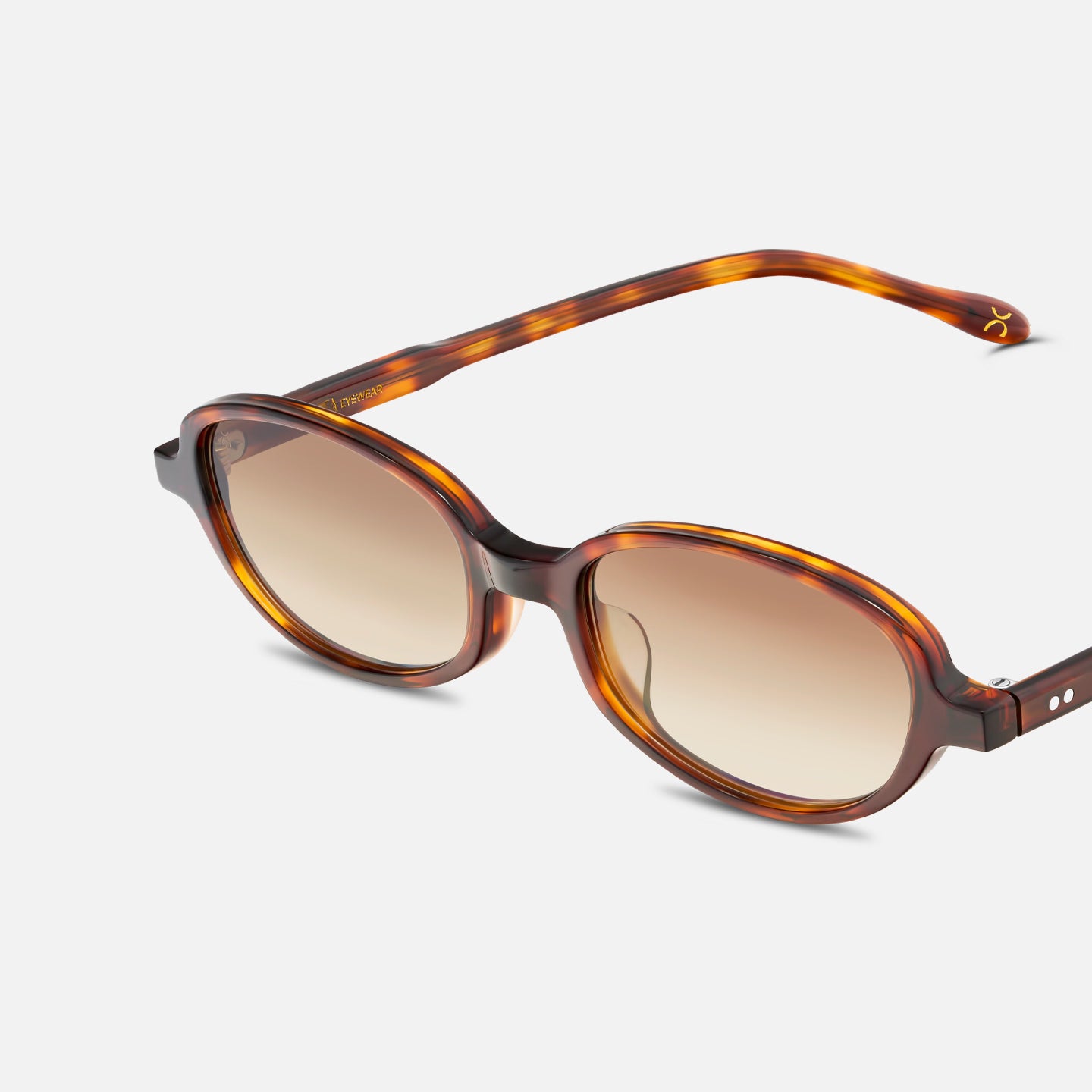 #color_chocolate tortoise