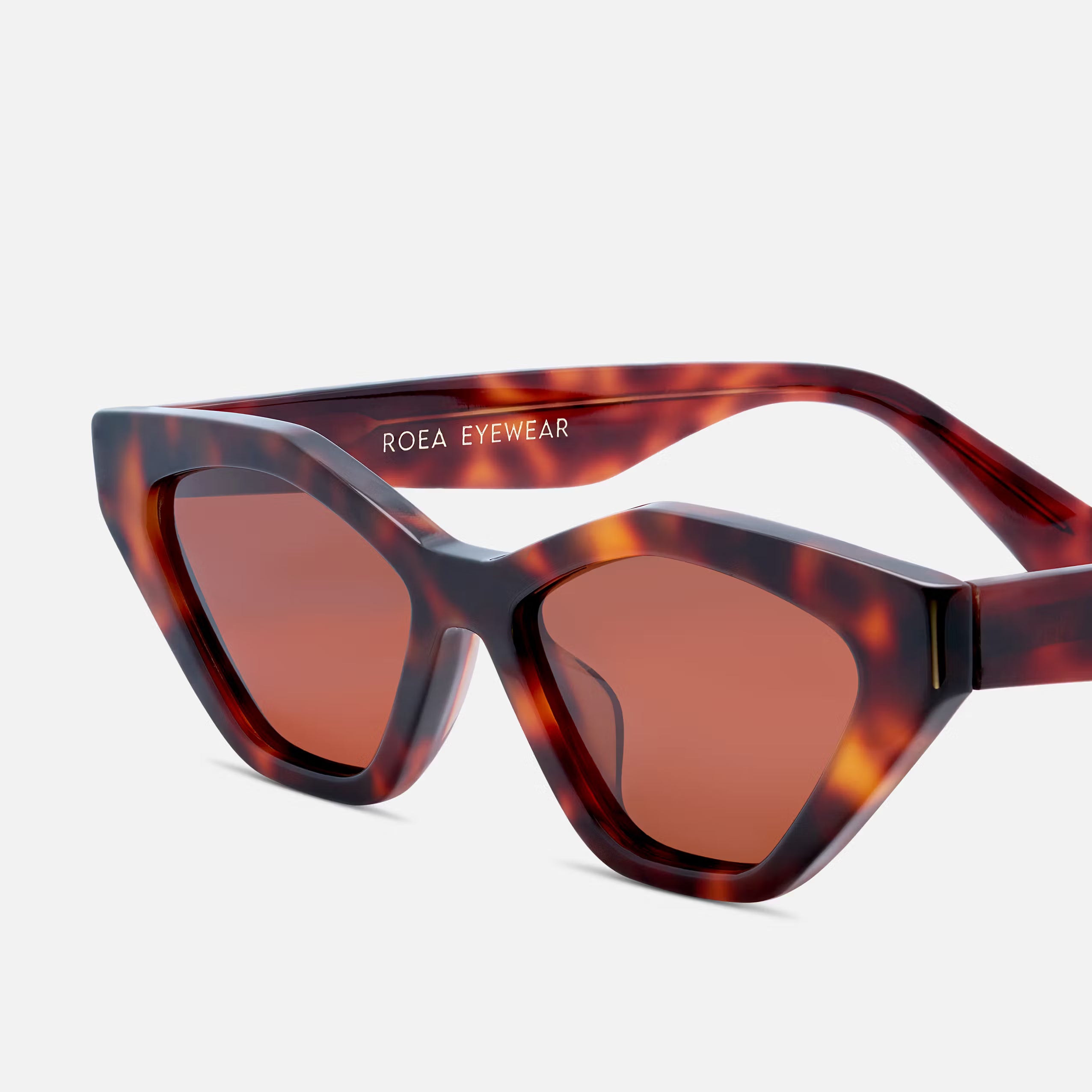 #color_ember tortoise