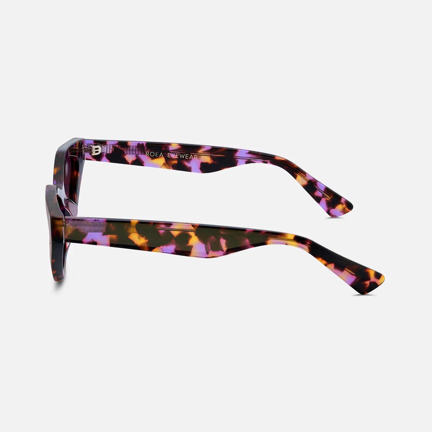 #color_violet tortoise 