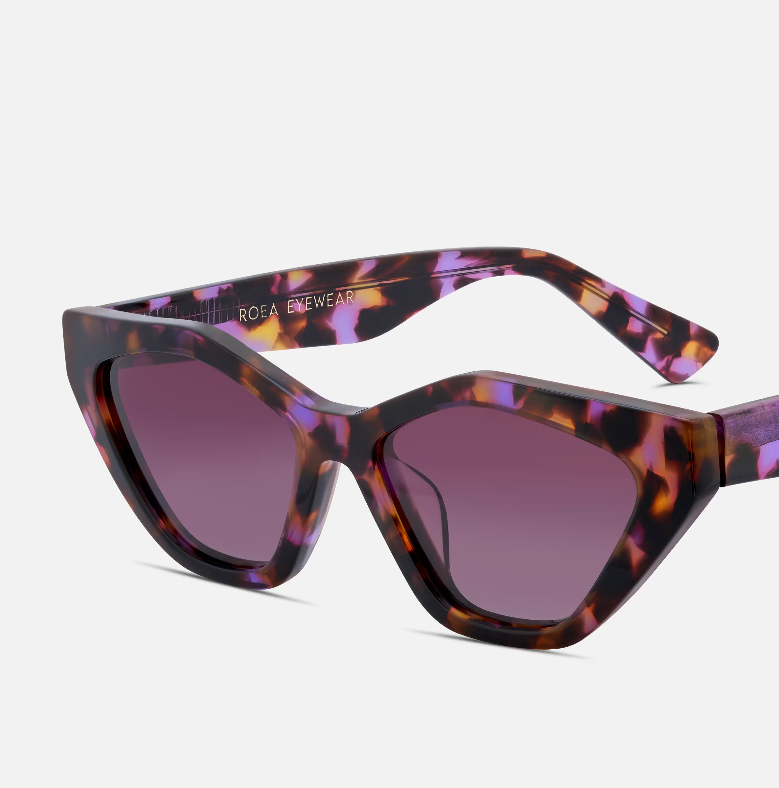 #color_violet tortoise 