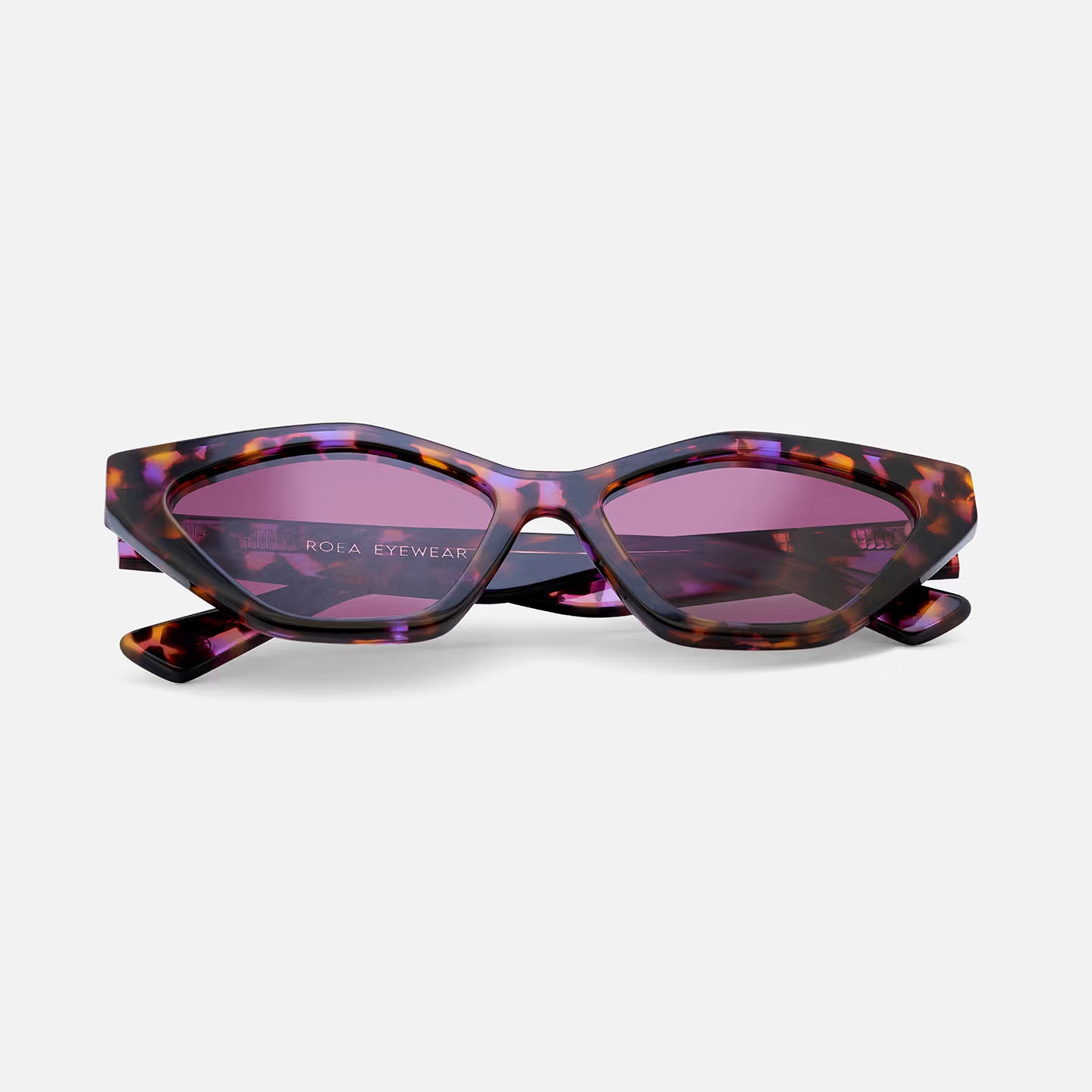 #color_violet tortoise 