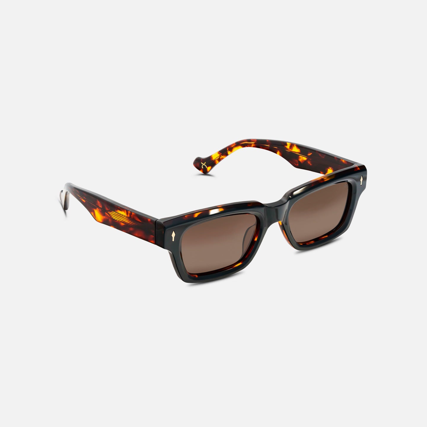#color_tawny tortoise
