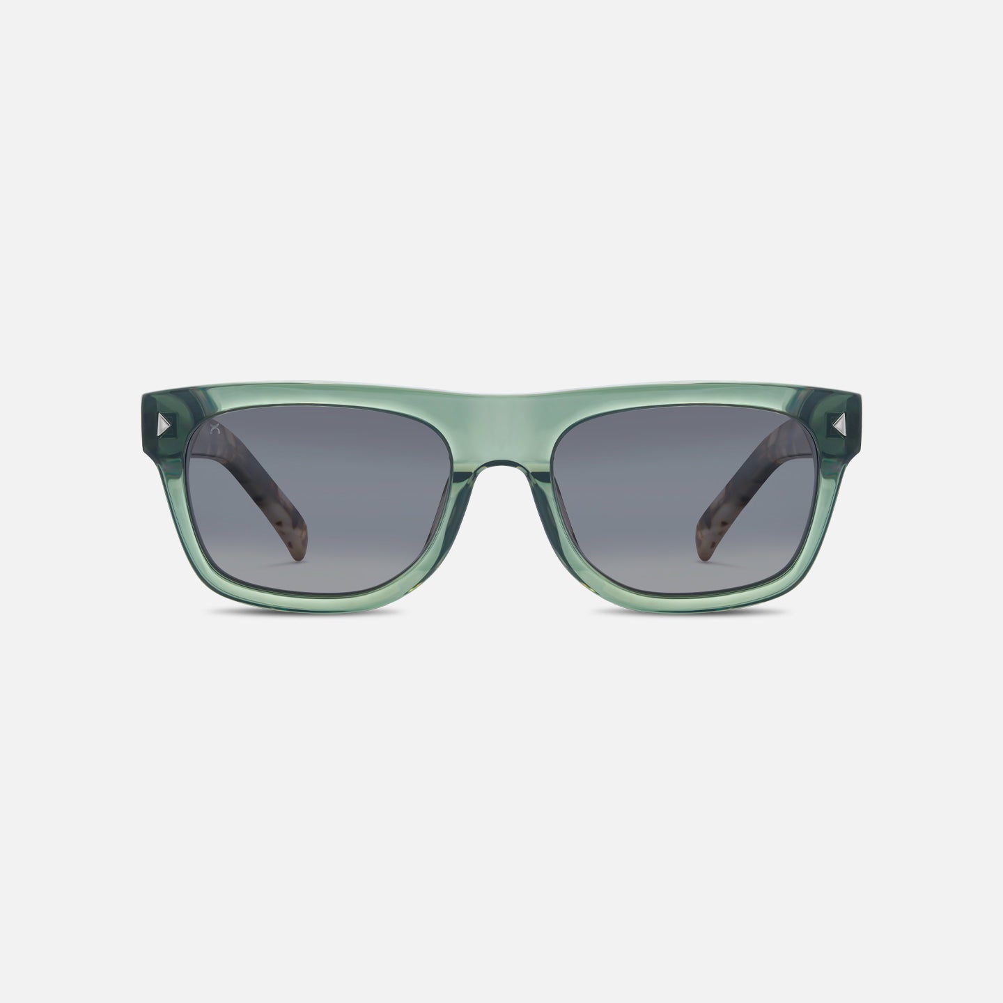 #color_sage tortoise