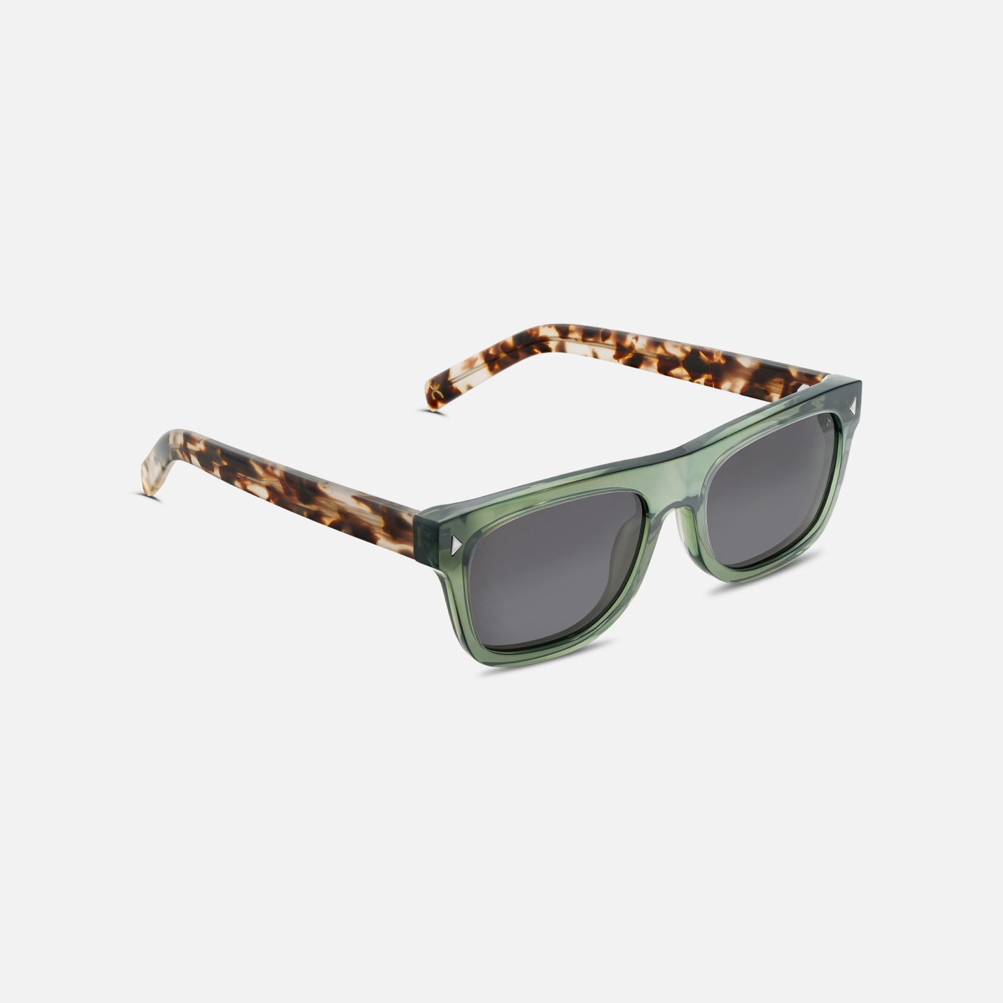 #color_sage tortoise